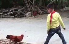 2375153_080188e41d704ce1a8bed72203aca3cd_1482411358.gif