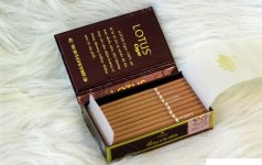 2171-cigar-lotus-cigar-loai-30-dieu-dt.jpeg
