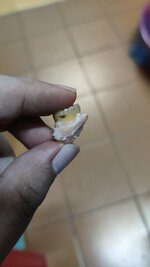 IMG20230912190410.jpg