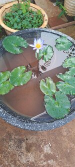 20231022_081941.jpg