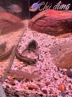 IMG_0942.jpeg
