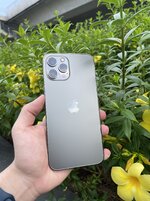 IMG_0017.jpeg