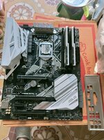 z4894602345833_95cdc7e967bd7abab933b130cbfafa78.jpg