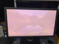 IMG_5243.jpeg