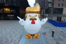 china-trump-rooster-04-ap-jrl-171228_3x2_992.jpg