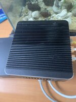IMG_2217.jpeg