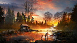 nature-river-deer-sunset-scenery-uhdpaper.com-4K-8.1466.jpg