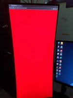 420432529_7416303545129762_9018281364869962425_n (1).jpg