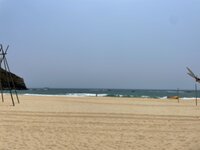 IMG_3440.jpeg
