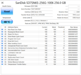 SanDisk SD7SN6S-256G-1006 256.0 GB.png