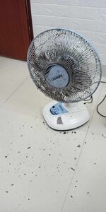 received_413118438359493.jpeg