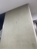 IMG_2444.jpeg