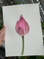 IMG_0614.jpeg