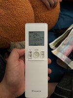 IMG_6667.jpeg