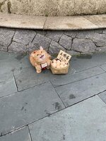 FB_IMG_1725678699221.jpg