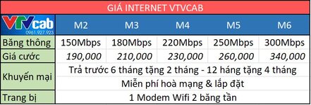 internet vtvcab 2024.JPG