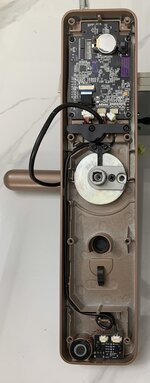 IMG_5878.jpeg