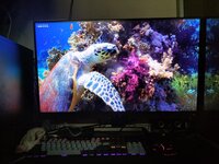 0e6b3fa3-15bc-4907-ac8d-6b2f288ad9dd.jpeg