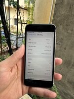 IMG_0324.jpeg