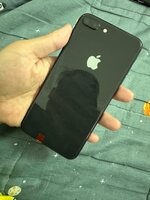 IMG_0321.jpeg