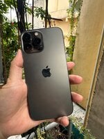 IMG_0310.jpeg