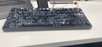 IMG_1027.jpeg