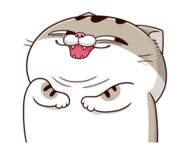 1741039583161.png