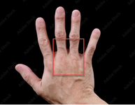 1741853502902.png