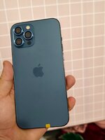 IMG_20250401_160315.jpg