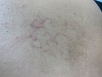 IMG_2366.jpeg