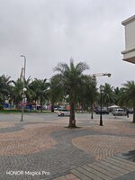 IMG_20250407_160520.jpg