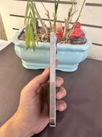 IMG_4672.jpeg