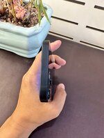 z6646072571087_a071f3497eadf50bb3fa46364f6cee78.jpg