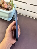 z6646072579625_cddfaa3e9eb162aaac3edf9192c1781a.jpg