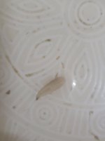 20201129_114553.jpg