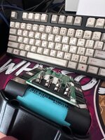 IMG_3708.jpeg