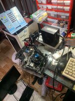 IMG_3492.jpeg