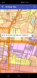 43 628_DNAILIS10.jpg