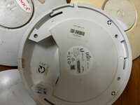 IMG_1020.jpeg