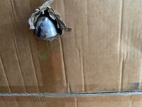 IMG_1544.jpeg