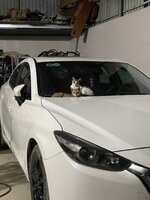 IMG_9020.jpeg