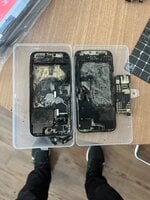 IMG_4125.jpeg