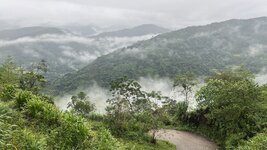 IMG_2109.jpg