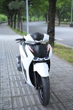 DSC_6579.jpeg
