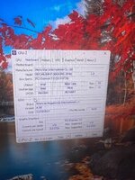 IMG_0452.jpeg