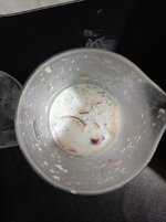 IMG_20251120_063032.jpg