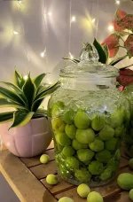 7777158-c0092637cf7368140eab6303ab5f5641 (1).webp