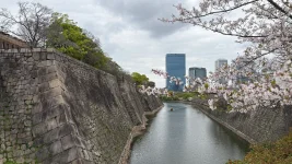 IMG_2732.webp