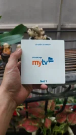 mytv.webp