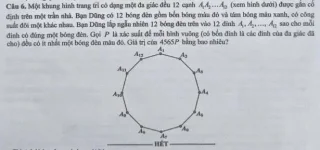 1783086316866.webp